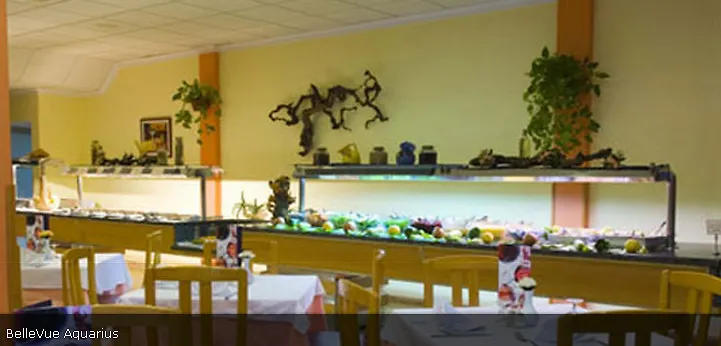 Apartamento Bellevue Aquarius Puerto del Carmen  0*, Puerto del Carmen (Lanzarote) España